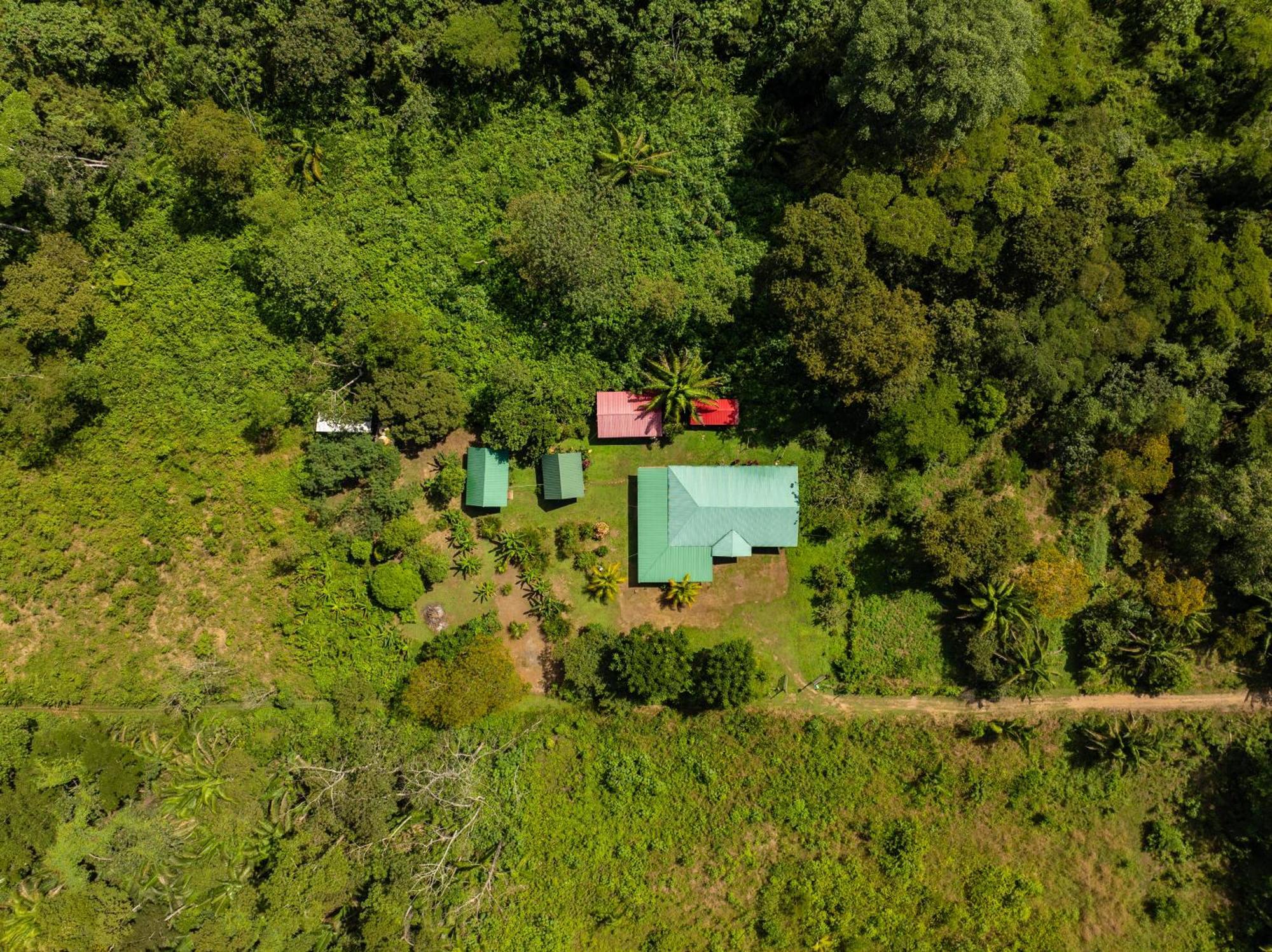 Quirquincho House Lodge Puerto Maldonado Exterior foto